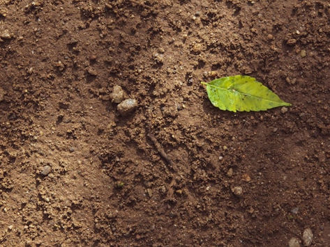 Pro Advice for Custom Home Building in Los Angeles: Why You Need a Geotechnical Soil Report Before You Build