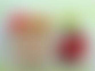 Loncheras Escolares y Hamburguesa de Arvejas