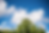 Schermata 2019-09-21 alle 14.31.33.png