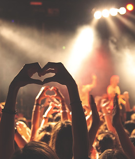 Los fans en concierto