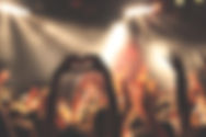 Fans in Concert