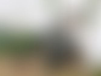 Transform Your Garden with the VonHaus Leaf Blower 3000W