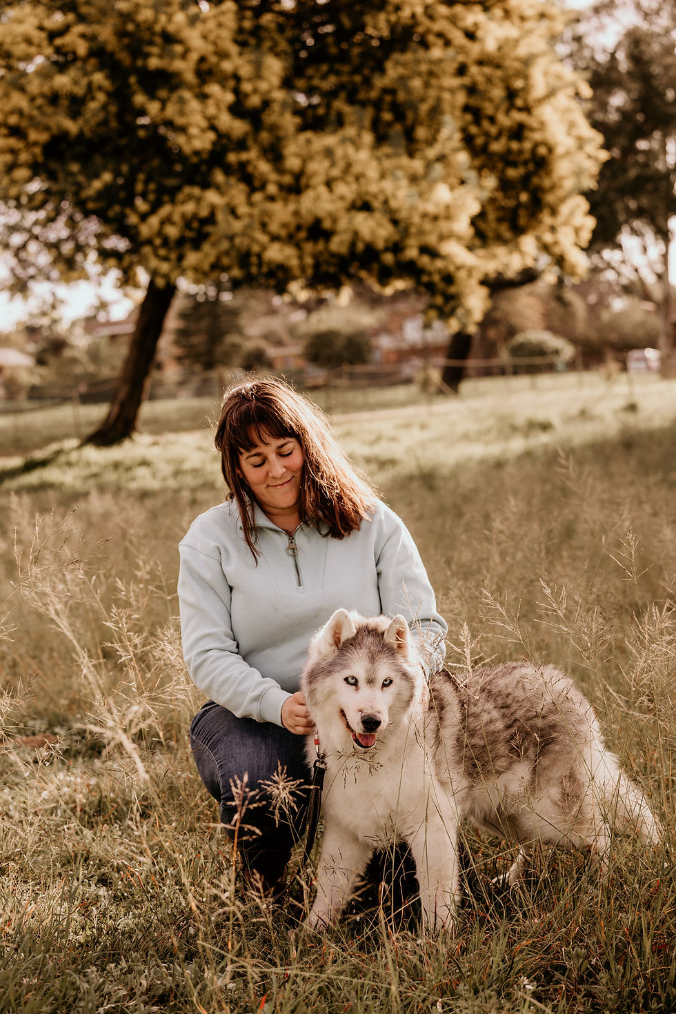 Pet Photography in Cape Town.