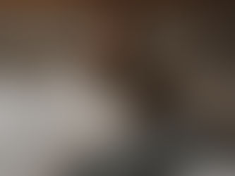 At Home Shoot Sessions with Your Pets: The Ultimate Way to Capture Their Personality