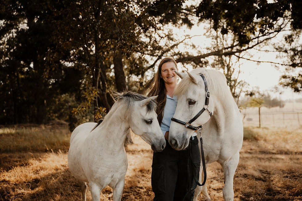 Equestrian Photography in Cape Town.