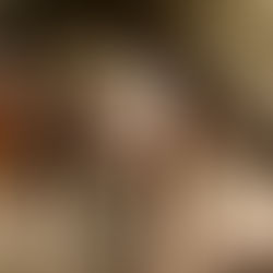 Kaylie & Her Herd: A Windy Afternoon of Magic | Equine Photography in Cape Town