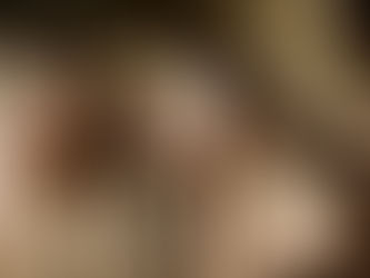 Kaylie & Her Herd: A Windy Afternoon of Magic | Equine Photography in Cape Town