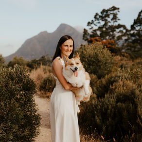 8 Reasons Why Winter Is Secretly the Best Season for Dog Photography in Cape Town