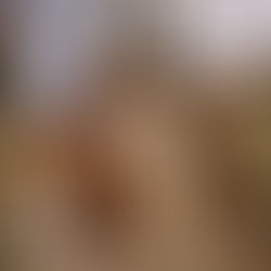 Golden Hour At Noordhoek Common: A Sunset Session With Dalene, Her Partner & Weiss