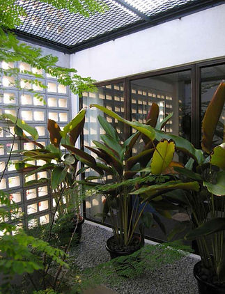 img4_edited.jpg