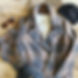WhatsApp Image 2020-11-25 at 12.26.47.jp