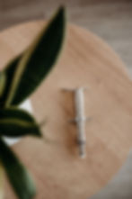 Integrator adjusting tool laying on a wood table next to a plant