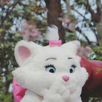 ARISTACAT CHARACTER