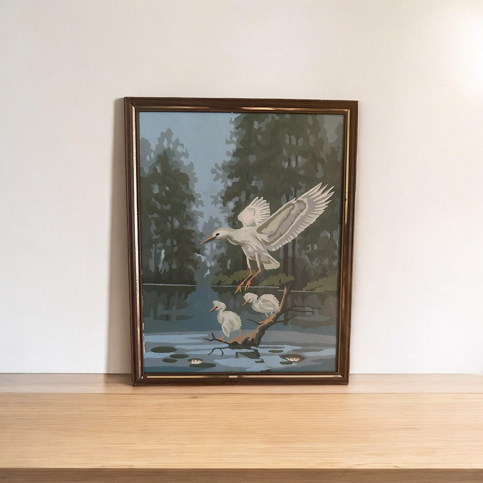 Thumbnail: White Flying Heron with 2 Egrets