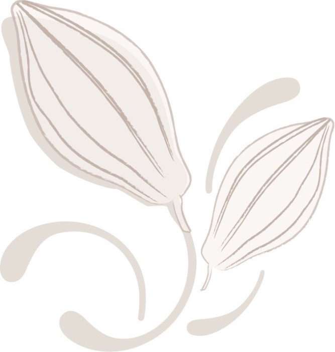 Chocolaterie Soetkin