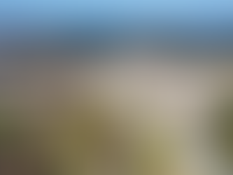 LE CHAMBON-SUR-LIGNON — de l’espace, de l’air, du vert !