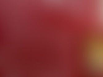 Inauguration expo Musée Pierre de Luxembourg