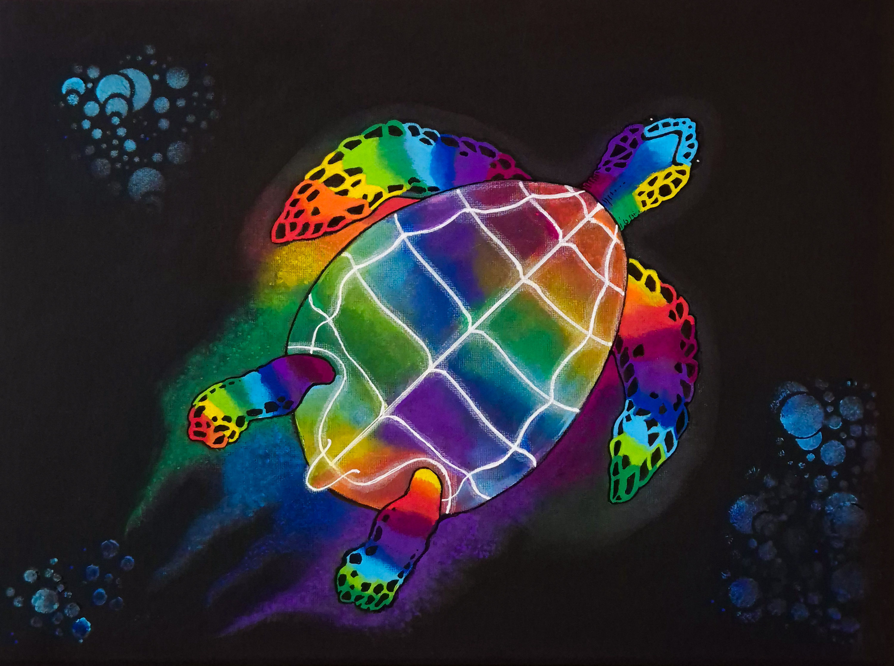 Spirit Of The Turtle