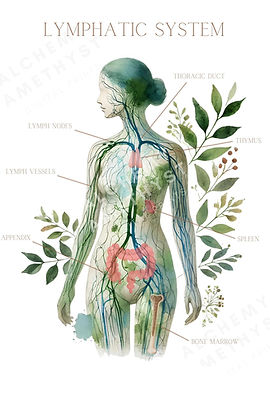 Drainage Lymphatique Grez-Doiceau