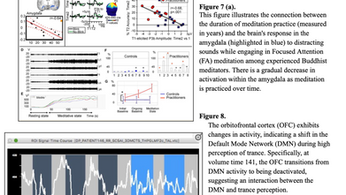 Buddhism and Science: Approaches to Mediumship