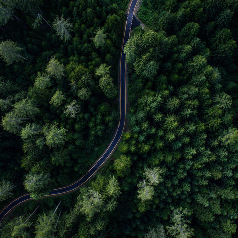 Reporting and Analytics Tools in SAP Business One