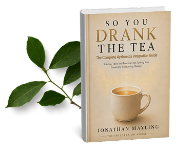 so-you-drank-the-tea-ayahuasca-integration-guide-book-cover.png