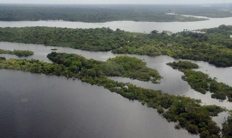 Combatendo e reprimindo os crimes ambientais na região, Operação Verde Brasil 2 já aplicou mais de R$ 520 milhões em multas. - Foto: Agência Brasil