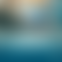 Paying on Time Matters: Best Practices for Public Agencies