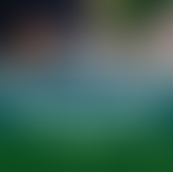 A person infront of a laptop checking boxes.