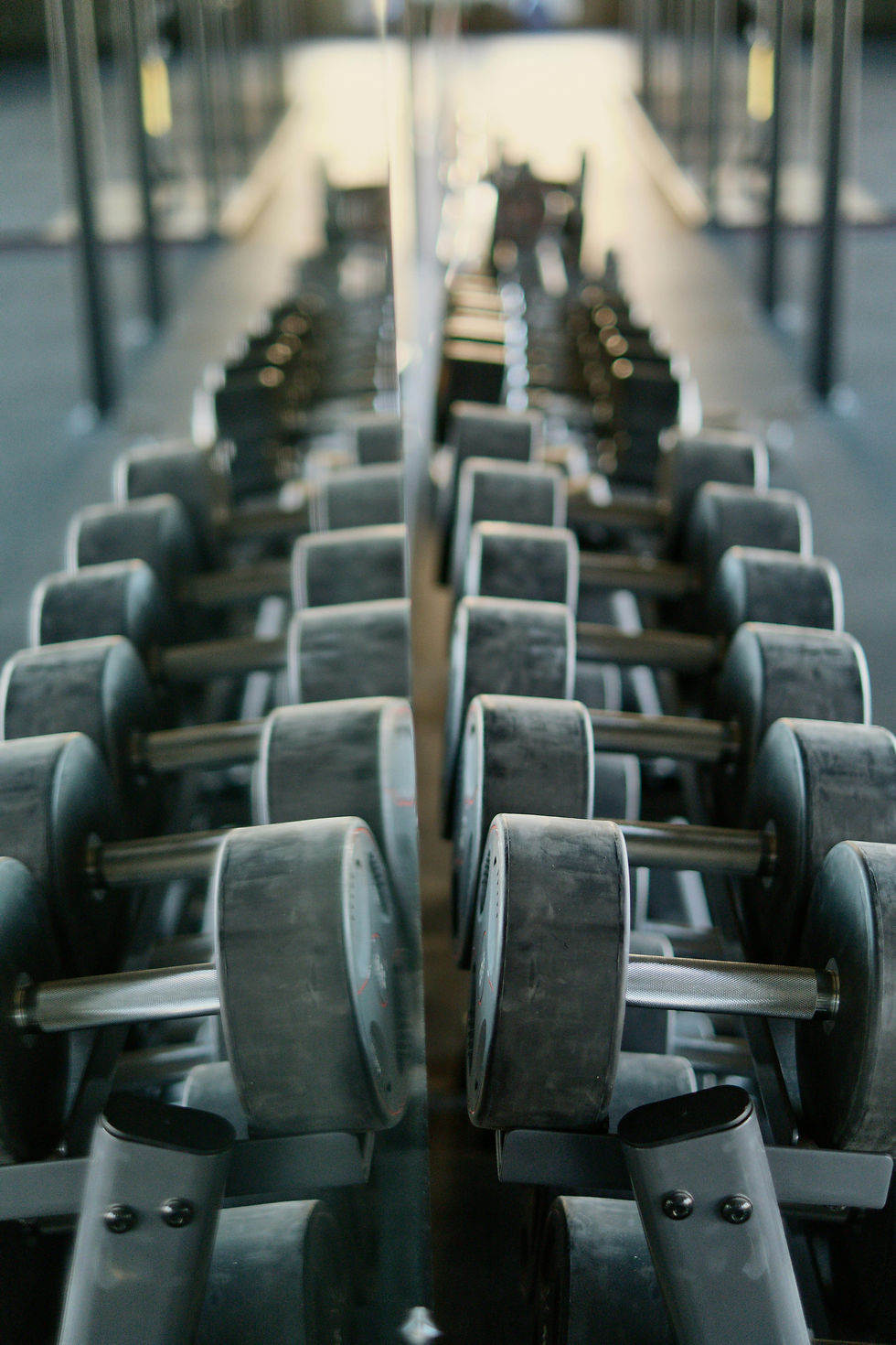 Dumbbell Photo for Collection page.jpg