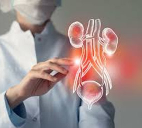 Urology.jpeg