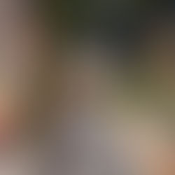 FOR SUMMER SKIES AND AMAZING TIMES, HEAD TO THE ROOFS