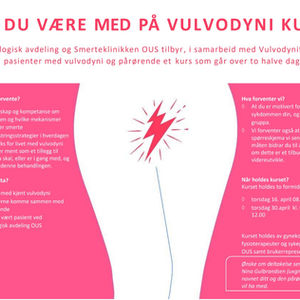 VIL DU VÆRE MED PÅ VULVODYNI KURS?