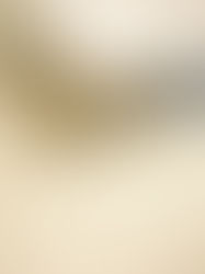 サロンの床について