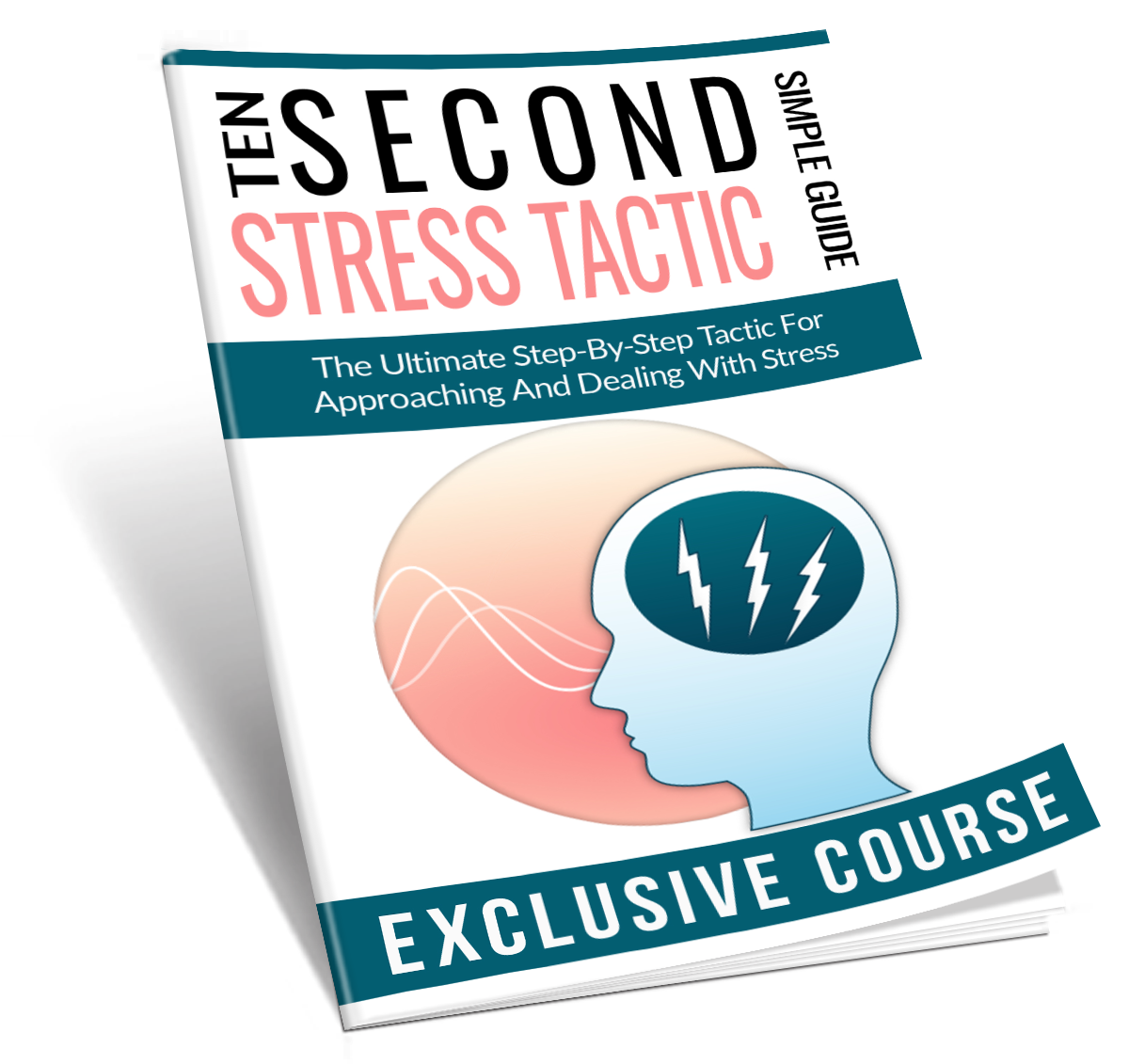 Ten Second Stress Tactic (Report) eBook