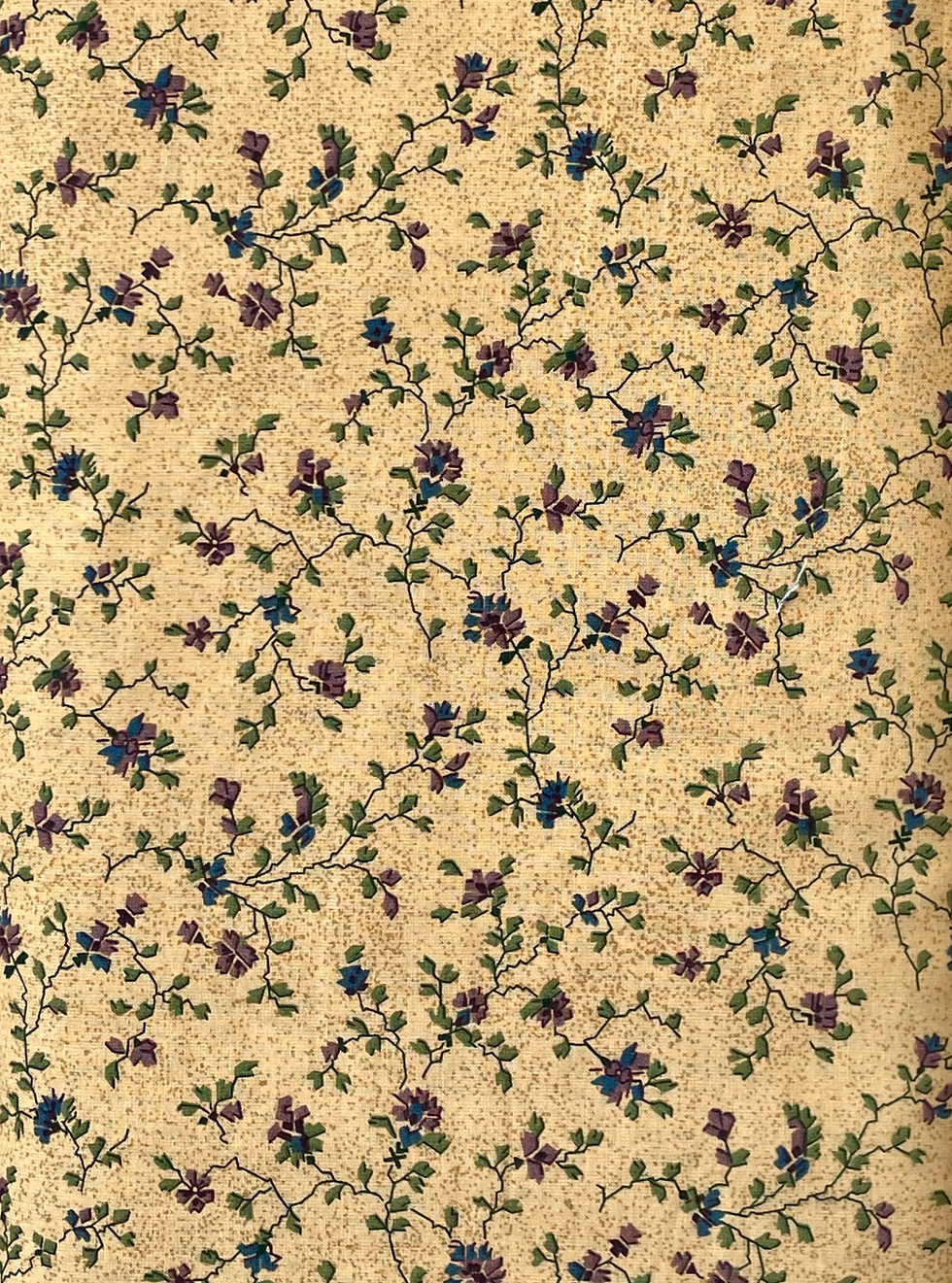 savannah by fons and porter