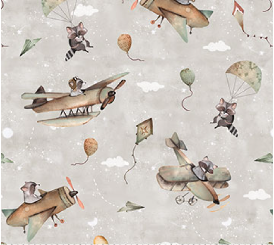 Thumbnail: racoons in planes