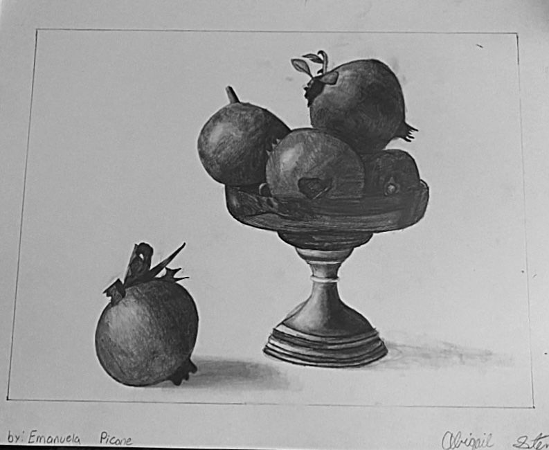 Pomegranate Drawing