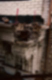 CORNICE INVESTIGATION-MIN