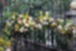 image00045.jpeg