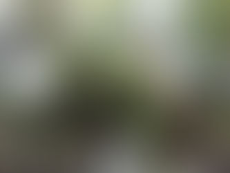 カウンセリングその他