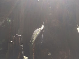 見直し聞き直し