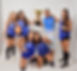 1 volei.jpg