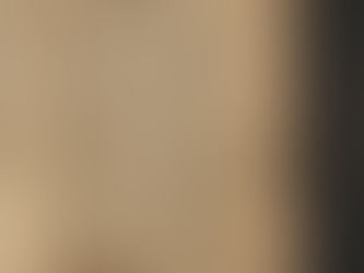 Einzigartig!
Die Ringerlehre des Johannes Lichtenauer