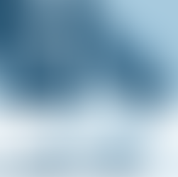 S. 114(g) and the withholding of Expert evidence: Case Analysis of Fung Shaw Yiew (CA)