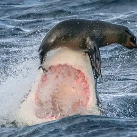 The noose tightens for moneylenders