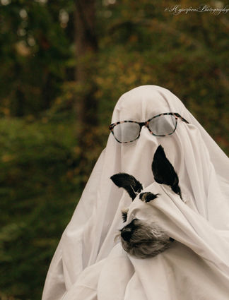 A Halloween shoot with a dog dressed as a ghost