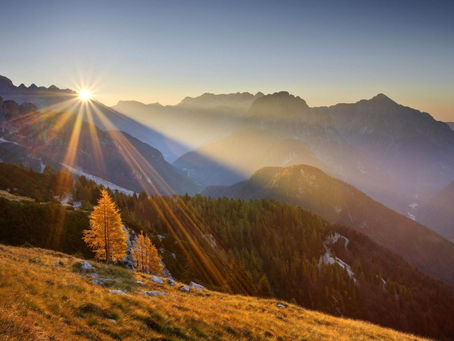 The Gratitude Shift: How Embracing Small Moments Changed Everything