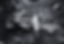 Pipes 4.png