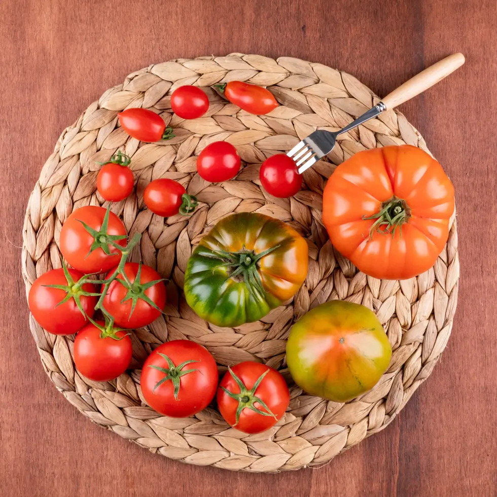 Assorted tomatoes and fork on placemat